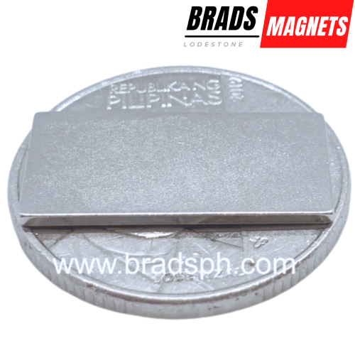20 x 10 x 1 (mm) 20 x 10 x 1 (mm)