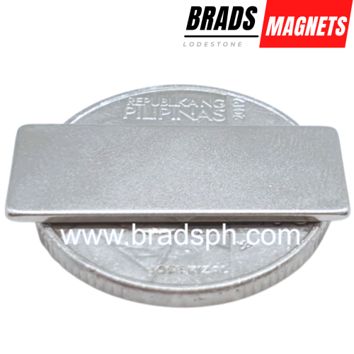 25 x 10 x 1 (mm) 25 x 10 x 1 (mm)